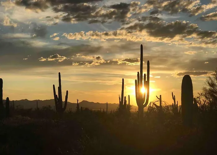 Holiday home Sonoran Sanctuary W/ Garage, Wfh Setup By I-10 & Downtown Tucson
